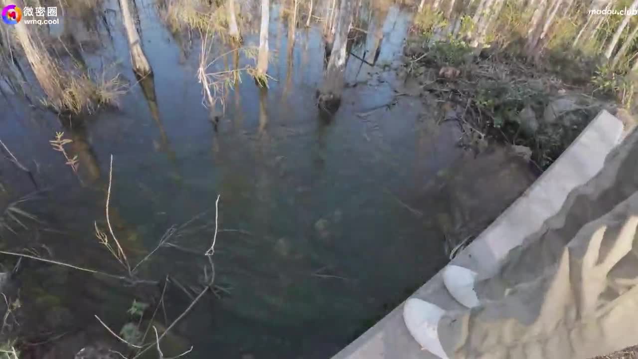 WMOG011 小水水性爱游记  完全露出 高潮失禁