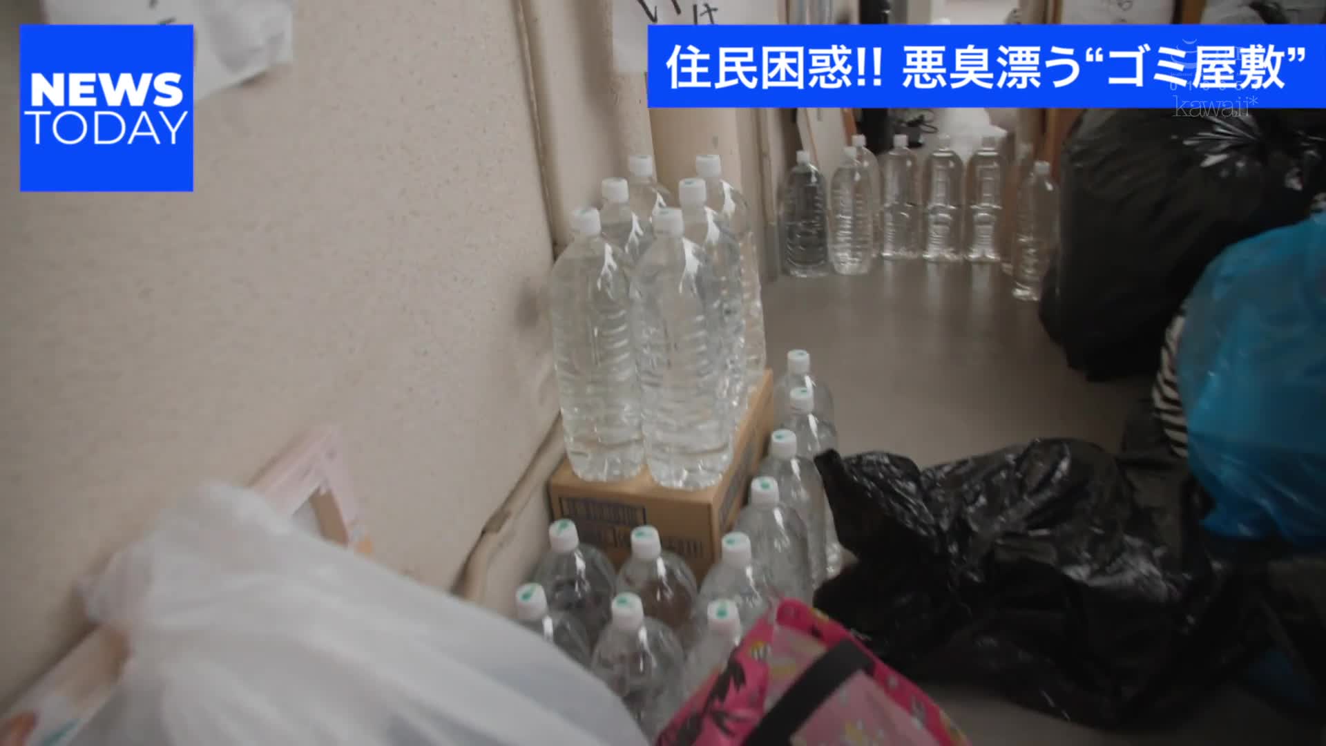 CAWD-590 连续中出51次却没有拔出来的制服少女，在邻居的垃圾房里被臭味中年男人怀孕的命运… 设乐雄日 - 设乐ゆうひ