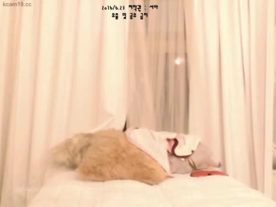 Korean BJ  (5)